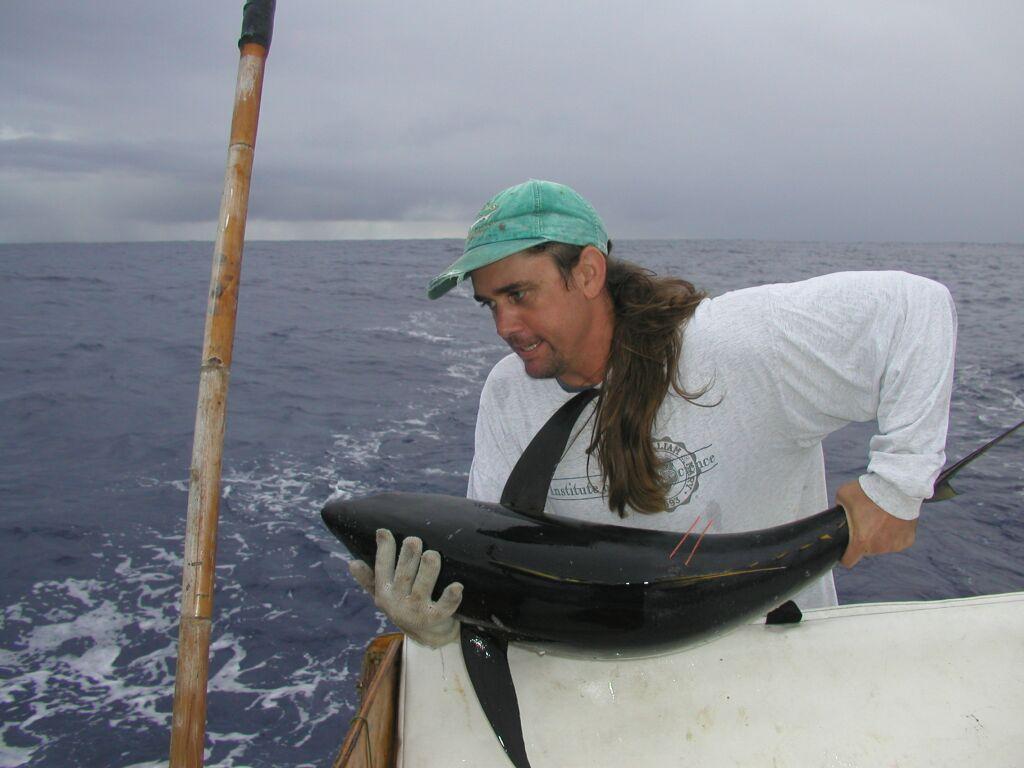 Marlin Tagging Cradle